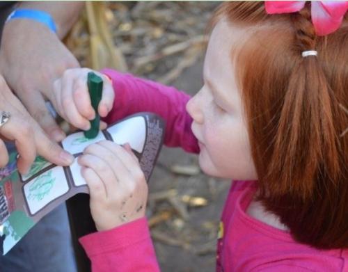 40889506_1843005169081336_1681444765414981632_n