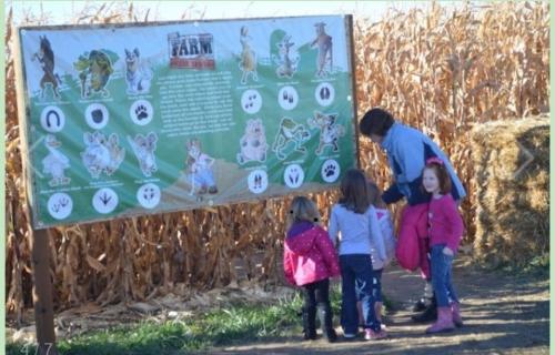 40980501_1843005099081343_3068432306797543424_n