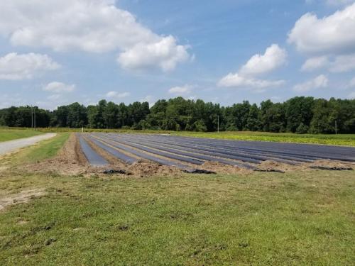 41237125_1846440168737836_5429011886764982272_n