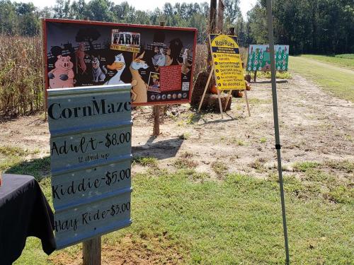 42279813_1863240400391146_3736236074205184000_n