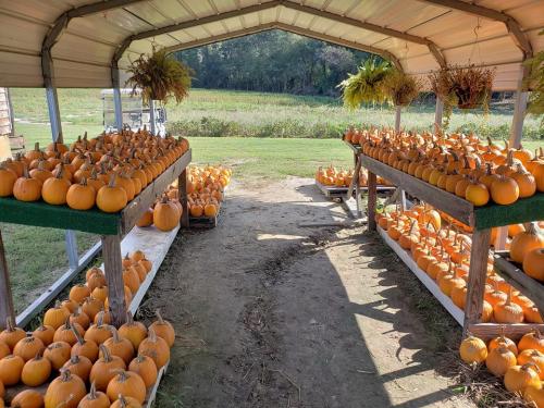 42298147_1863241390391047_642489822870503424_n