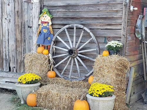 42299164_1863241077057745_7872927039299256320_n