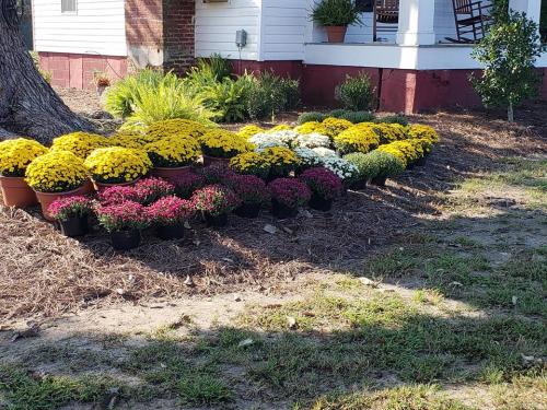 42422405_1863241263724393_5485702006213443584_n