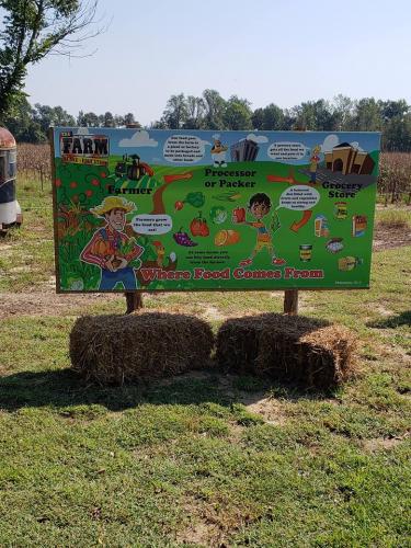 42446242_1863240583724461_2775875219246546944_n