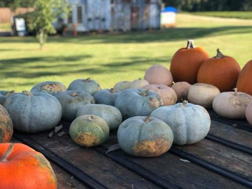 42812310_1872322169482969_77449483096424448_n