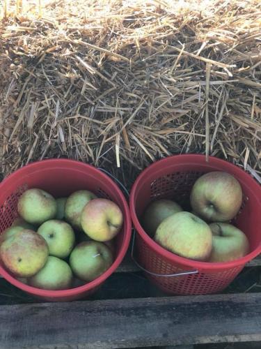 43023811_1872322402816279_7235246308489953280_n