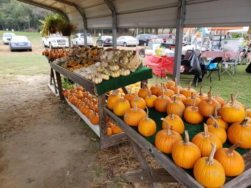 43879175_1887752837939902_1923220362976296960_n