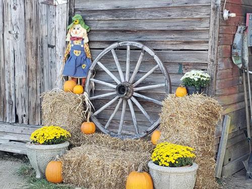 43879734_1887752887939897_3446103646016634880_n