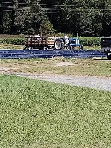 43951387_1887752791273240_1317854549490270208_n